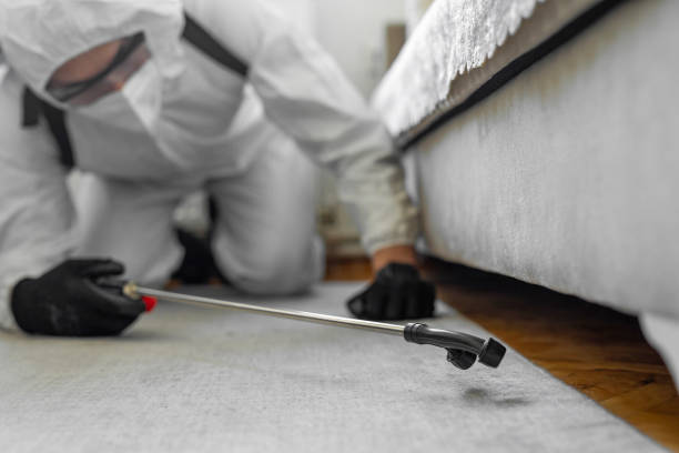 Professional Bed Bug Control technician working in Fayetteville, AL