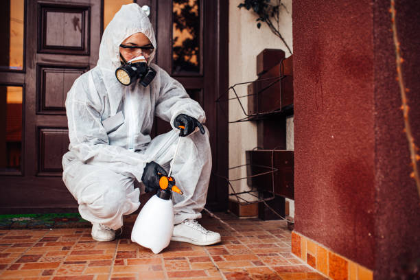Reliable Bed Bug Control contractor in Fayetteville, AL by Nex Pest Control